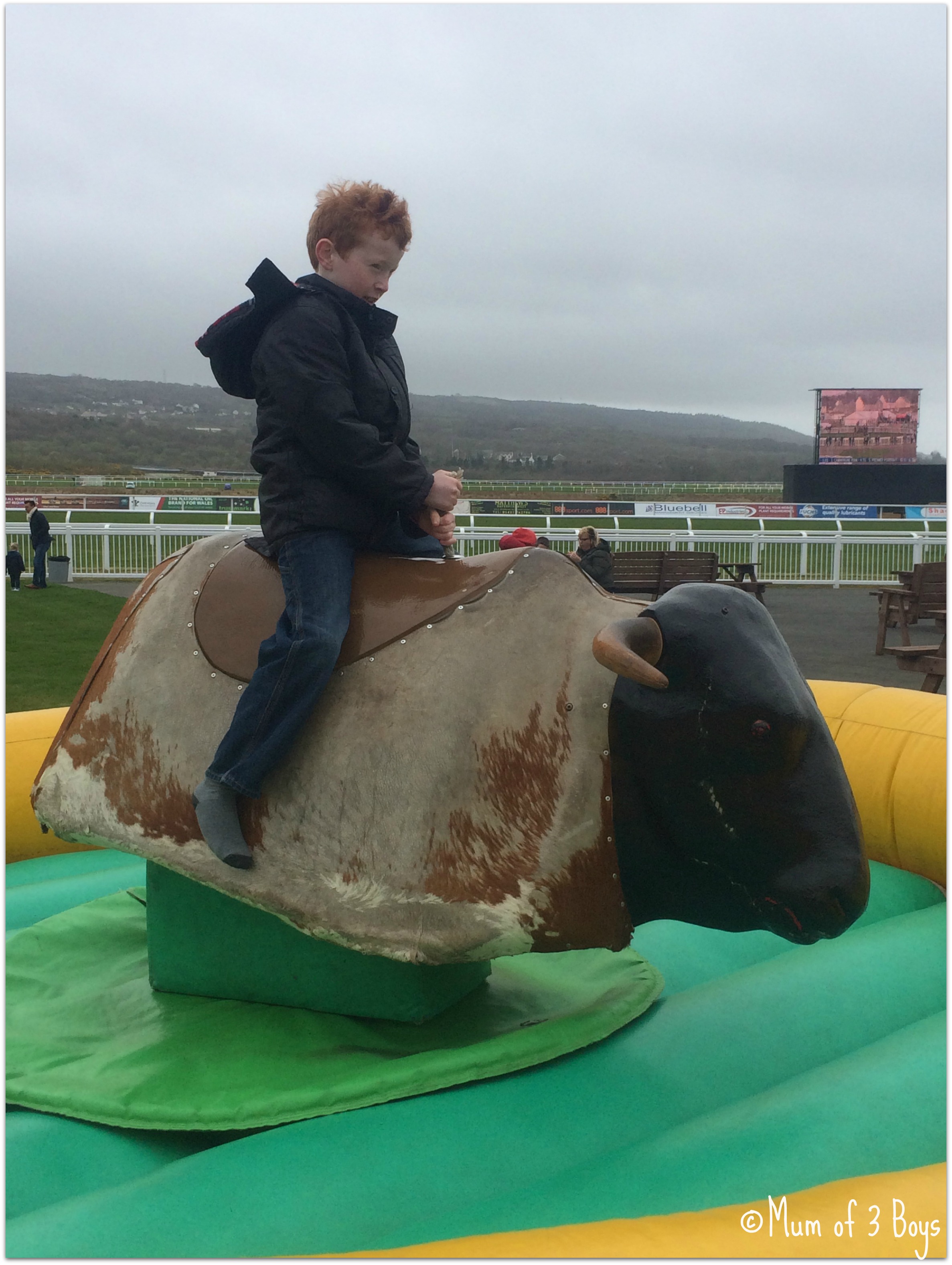 luc, rodeo bull, ffos las, family day ffos las2